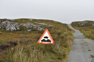 wenn Schweine fliegen könnten - Calum's Road