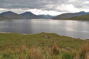deer Kinloch Hourn
