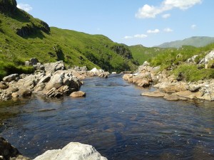 Summer in Scotland 3