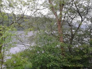 Blick auf Loch Lomond