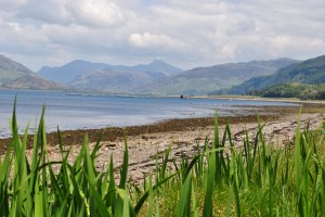 Glenelg-Ardintoul-Totaig walk (19)