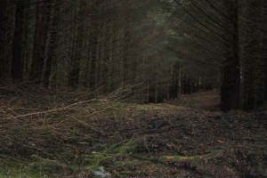 Glenelg-Ardintoul-Totaig walk (26)