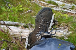 Glenelg-Ardintoul-Totaig walk (29)