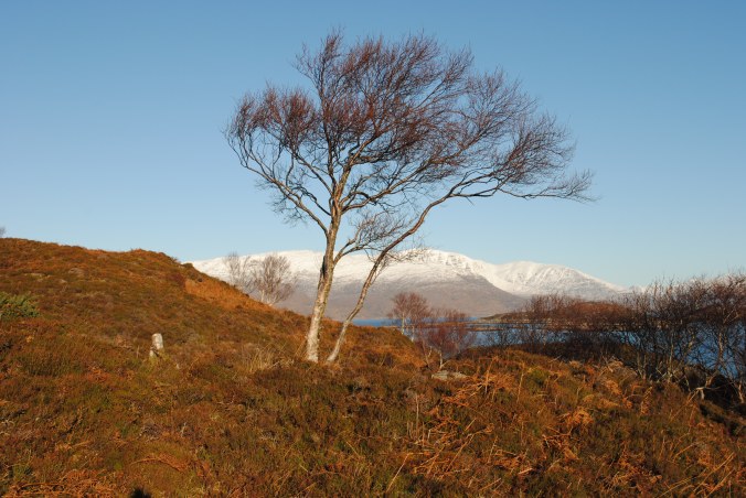 Drumbuie coastal walk (12)
