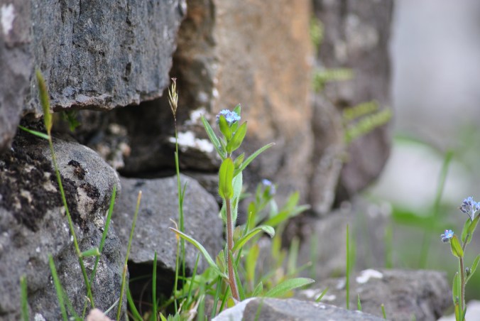 Clearance Villages Walk (33)