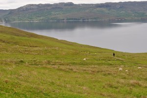 Clearance Villages Walk (46)