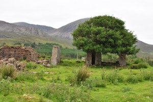 Clearance Villages Walk (64)