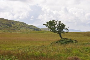 Dalavil, Isle of Skye