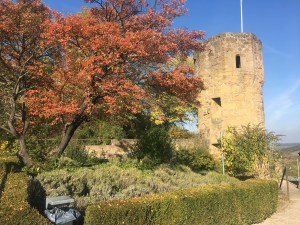 Abenteuer Highlands Nellie Merthe Erkenbach Extrawurst