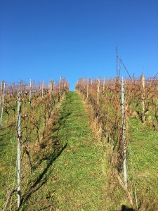 Abenteuer Highlands Sprachgenies und Schlaffhelfer