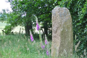 Steinkreis Abenteuer Highlands 