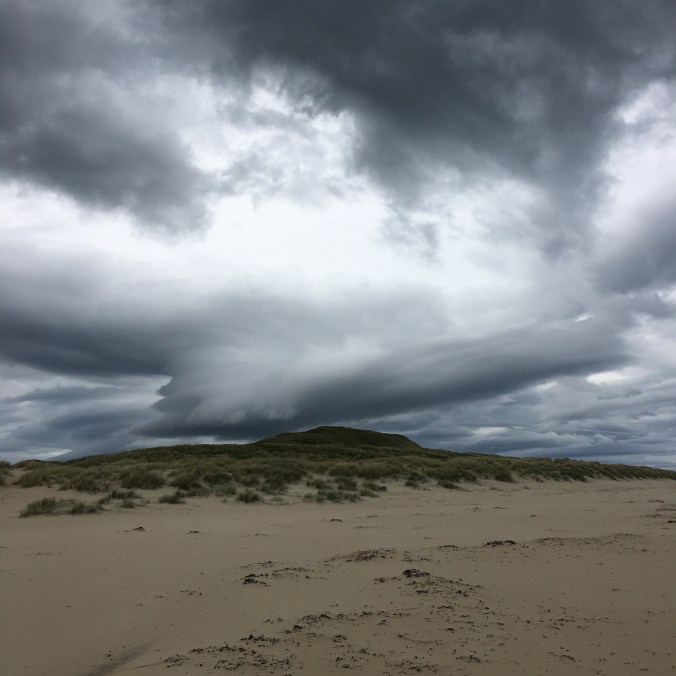 Abenteuer Highlands Wie ist der Zustand des Taxis