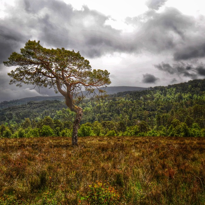 ©nme Abenteuer Highlands Sehnsuchtsland Schottland