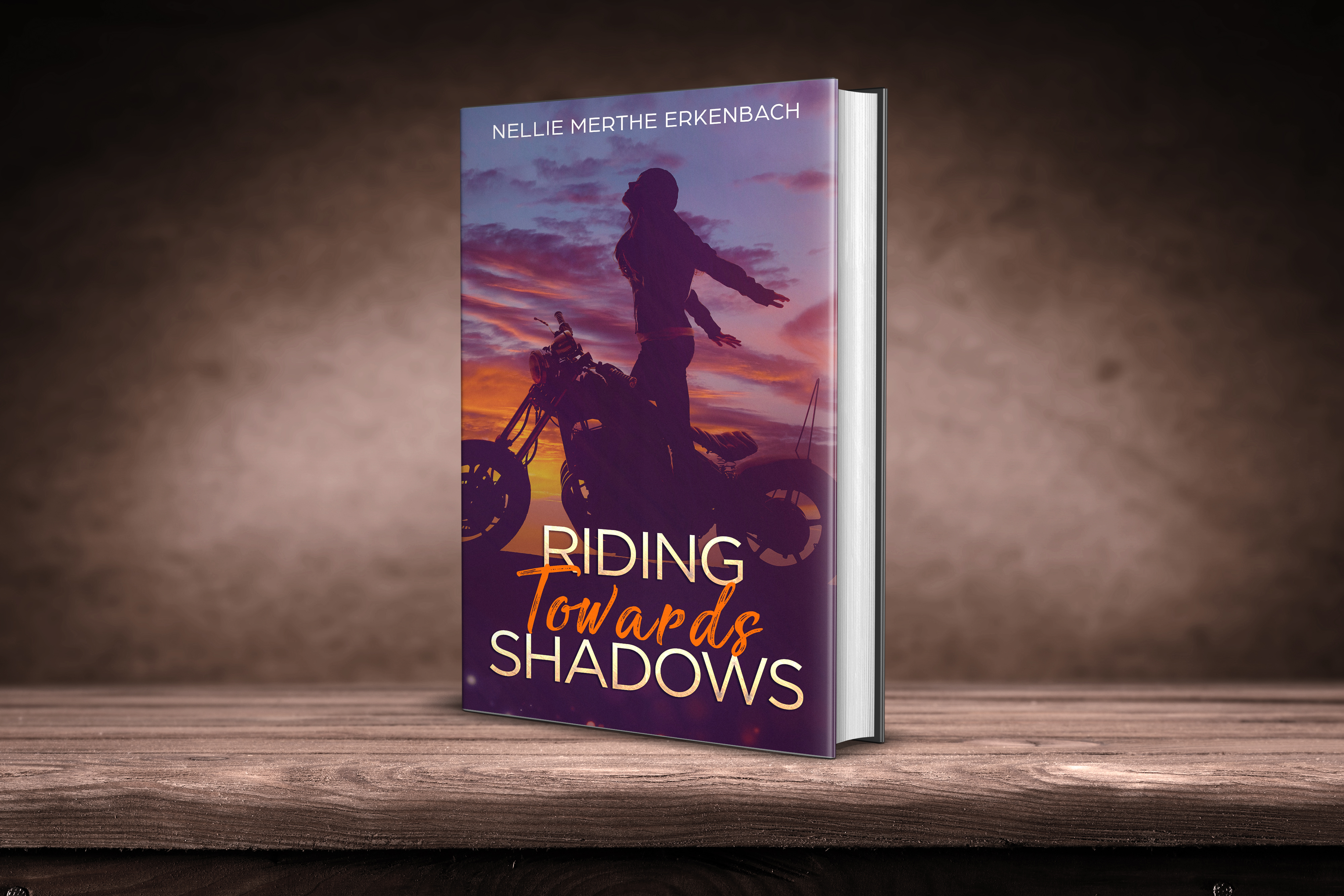 Riding Towrads Shadows by Nellie Merthe Erkenbach