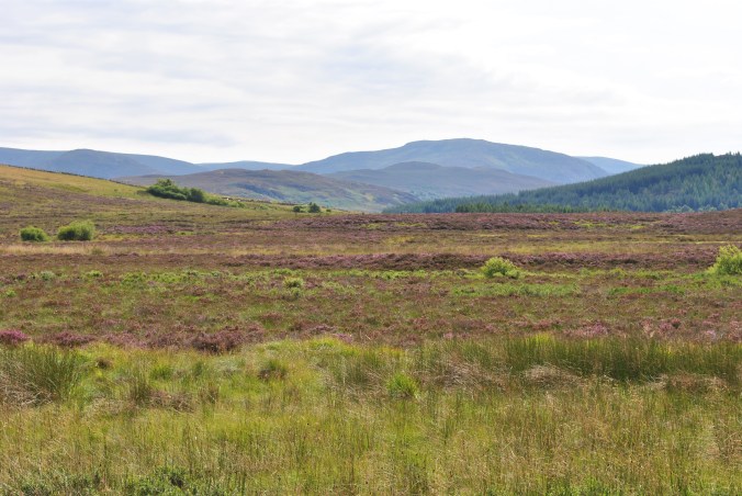 Indian Summer scotland