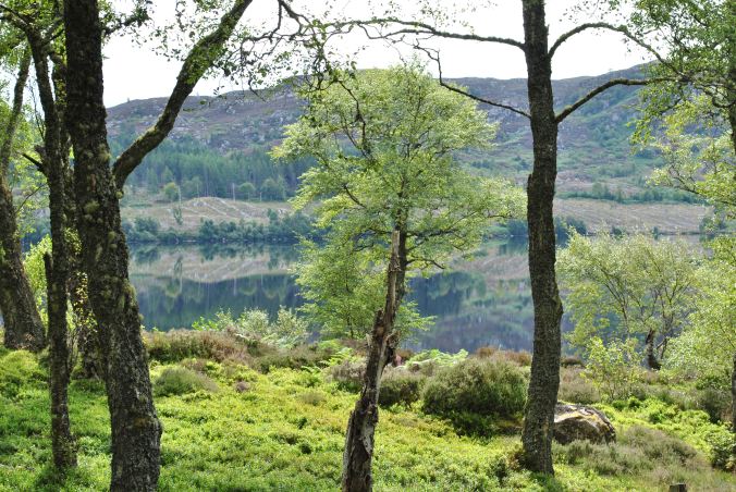 Loch Duntelchaig