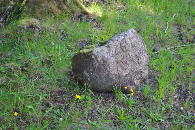 witche's stone Glenmoriston (6)