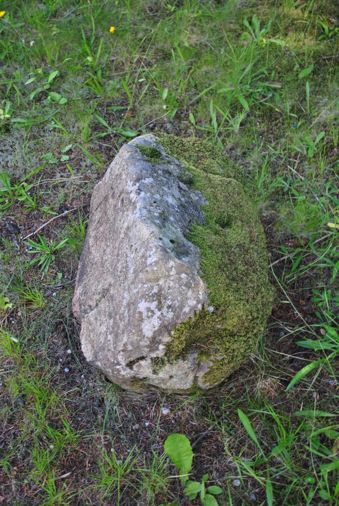 witche's stone Glenmoriston (8)