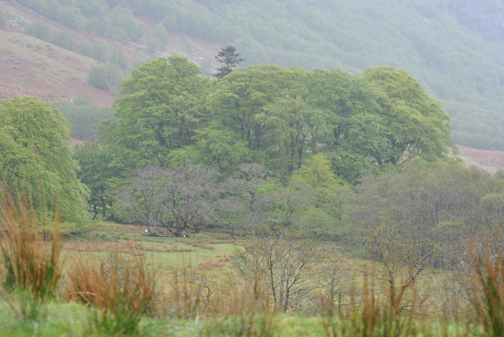 Glen Nevis ©nme Nellie Merthe Erkenbach Abenteuer Highlands