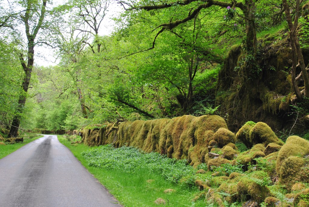 Mìle Dorcha ©nme Abenteuer Highlands Sind sie die Friedhofsfrau 