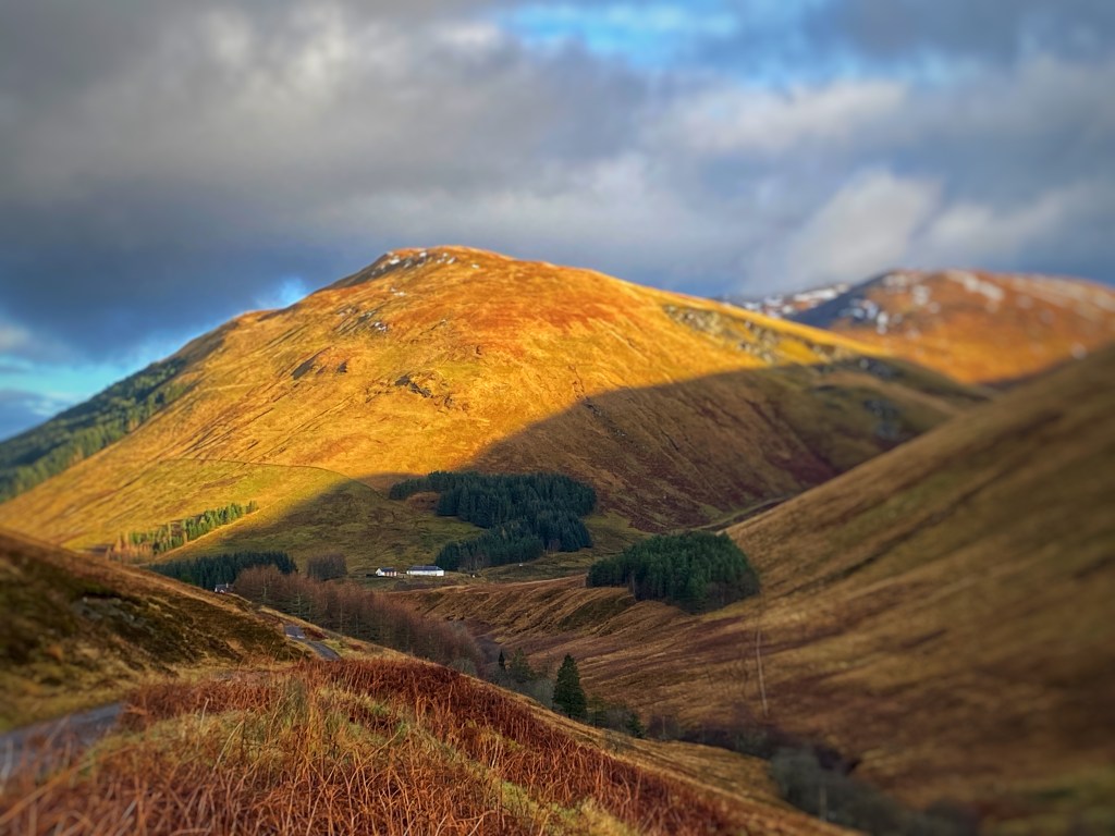 Glen Gloy 2023 @nme Nellie Merthe Erkenbach 