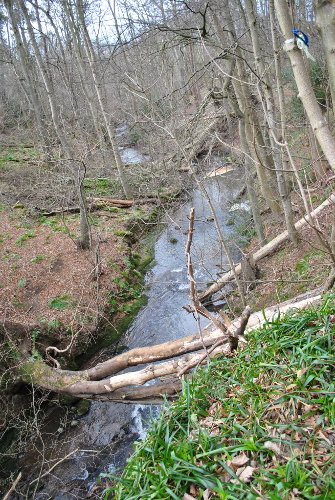 Dunino Schlucht @nme Abenteuer Highlands