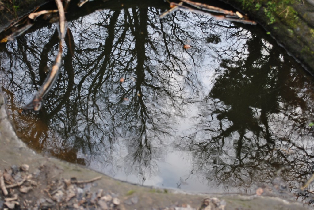 rituelle Felsschale @nme Abenteuer Highlands