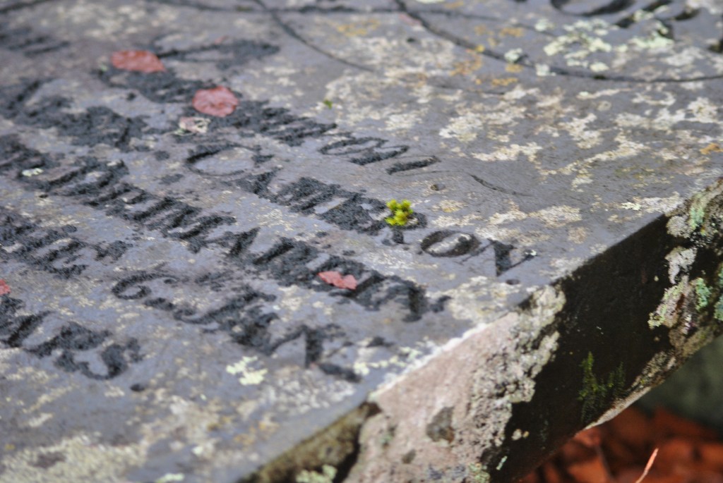 Tom-Eas-an-t-Slinnean @nme Graveyards of Scotland Nellie Merthe Erkenbach