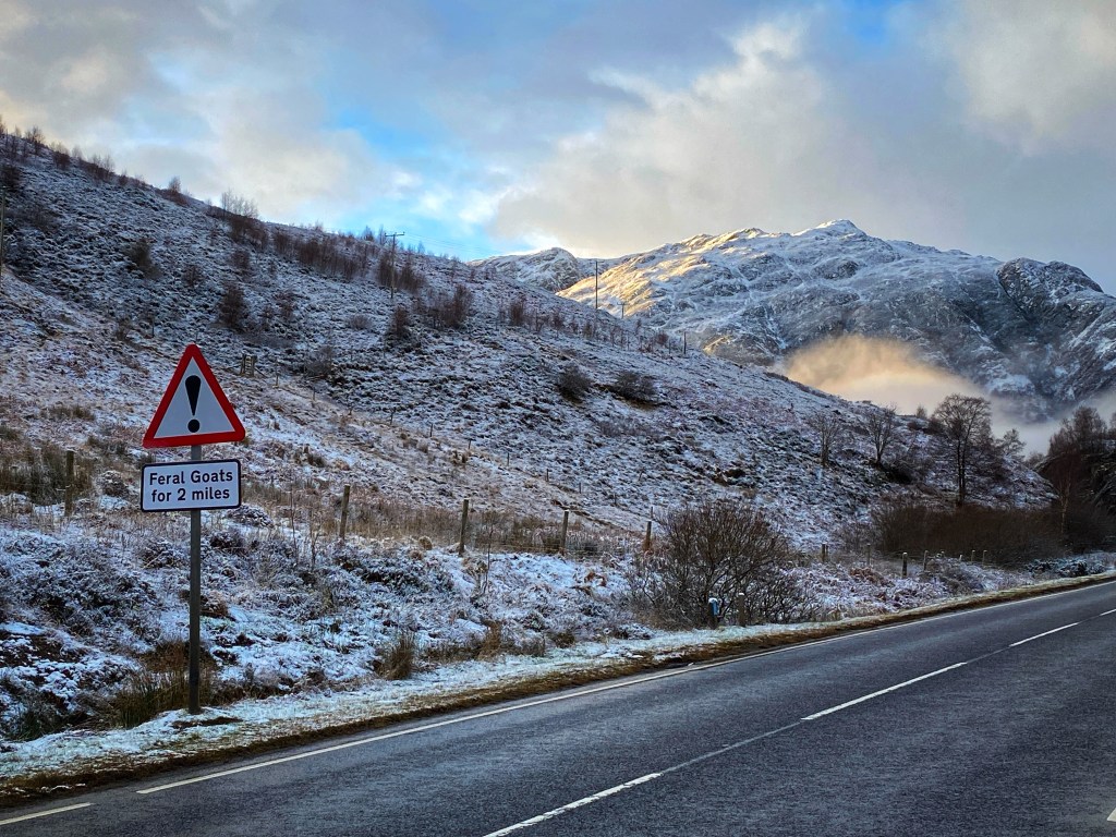 A87-Schild wilde Ziegen:
Ein Straßenschild an der A87 in Kintail warnt vor wilden Ziegen in der Gegend. Das Schild zeigt eine einfache Ziegen-Silhouette und ist von einer winterlichen Landschaft umgeben. Schneebedeckte Hügel und frostige Gräser betonen die raue, aber schöne Umgebung der Highlands und die Notwendigkeit, vorsichtig zu fahren.