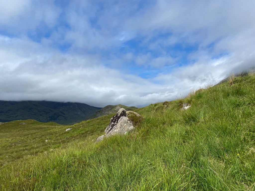 Blick auf Stein in Glen Loyne